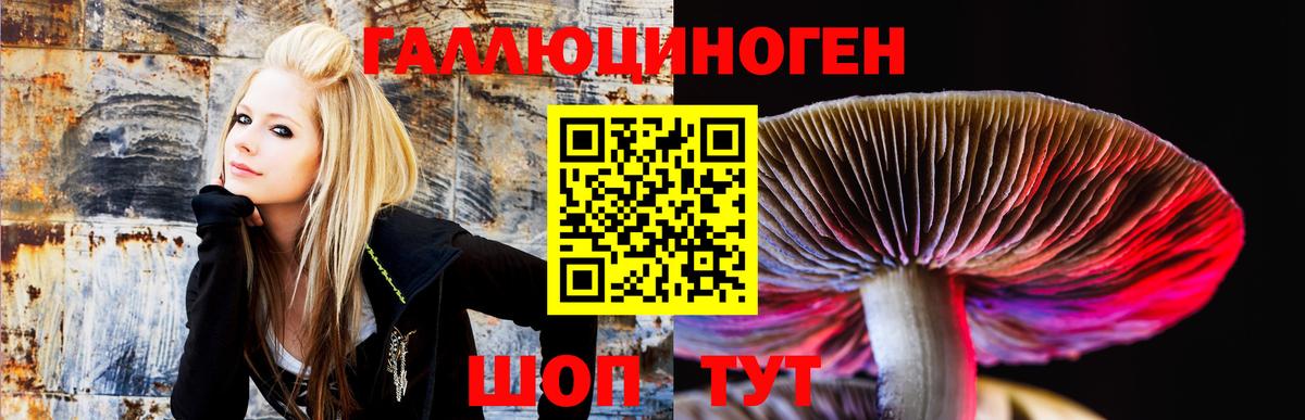 Псилоцибиновые грибы мухоморы  Псилоцибиновые грибы Cubensis  Великие Луки  Вход с VPN 
